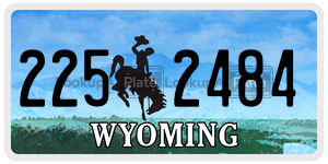 2252484 license plate in Wyoming