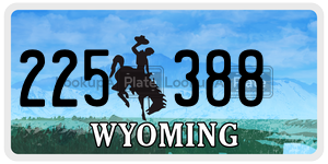 225388 license plate in Wyoming