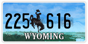 225616  license plate in WY