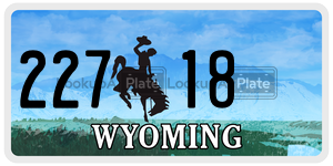 22718  license plate in WY