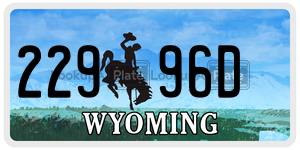 22996D  license plate in WY
