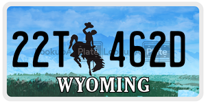 22T462D  license plate in WY