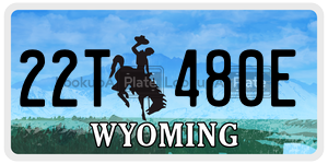 22T480E  license plate in WY
