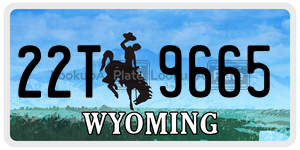 22T9665  license plate in WY
