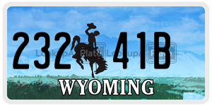 23241B  license plate in WY