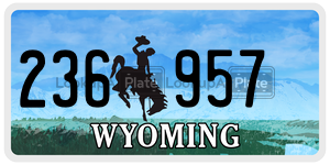236957  license plate in WY