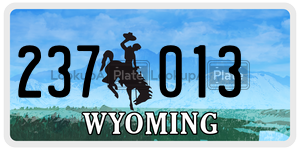 237013  license plate in WY