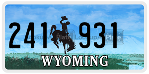 241931  license plate in WY