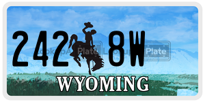 2428W  license plate in WY