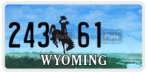 24361  license plate in WY