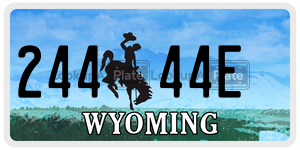 24444E  license plate in WY