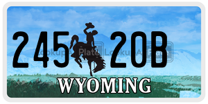 24520B  license plate in WY