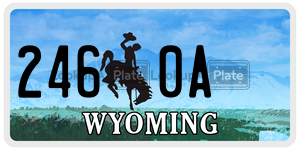 2460A  license plate in WY