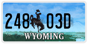 24803D license plate in Wyoming