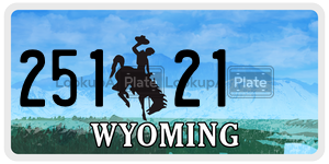 25121 license plate in Wyoming