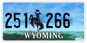 251266 license plate in Wyoming
