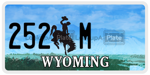 252M  license plate in WY