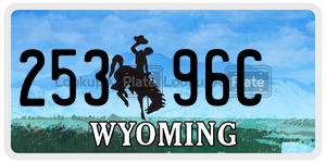 25396C license plate in Wyoming