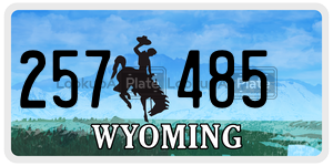 257485 license plate in Wyoming