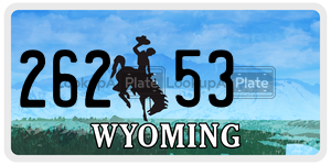 26253  license plate in WY