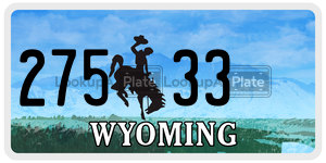 27533  license plate in WY
