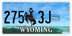 2753J  license plate in WY