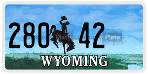 28042  license plate in WY
