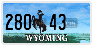 28043  license plate in WY