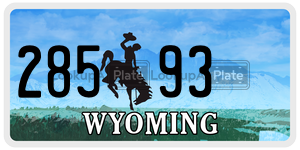 28593  license plate in WY