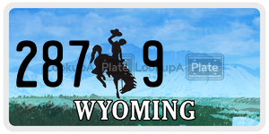 2879  license plate in WY