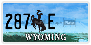 287E  license plate in WY