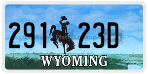 29123D license plate in Wyoming