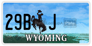 29BJ  license plate in WY