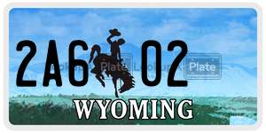 2A602  license plate in WY