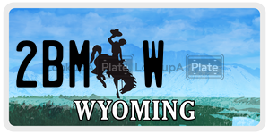2BMW  license plate in WY