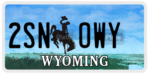 2SNOWY license plate in Wyoming