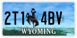 2T14BV  license plate in WY