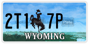 2T17P  license plate in WY