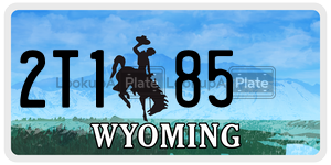 2T185  license plate in WY