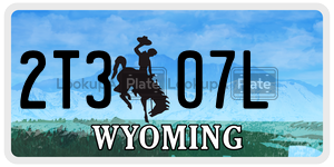 2T307L  license plate in WY