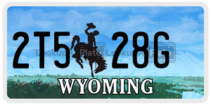 2T528G  license plate in WY
