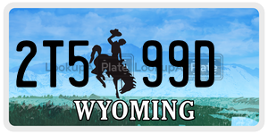 2T599D  license plate in WY