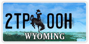 2TPOOH  license plate in WY