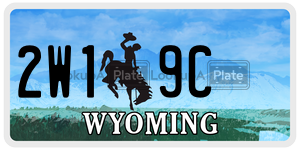 2W19C  license plate in WY