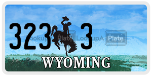 3233  license plate in WY