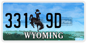 3319D  license plate in WY