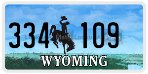 334109  license plate in WY