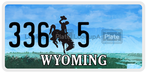 3365  license plate in WY