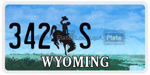 342S  license plate in WY