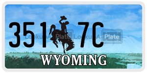 3517C  license plate in WY